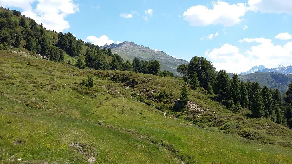 Haus Brigitte - Preise Inclusive Pitztal Sommer Card Jerzens Eksteriør billede